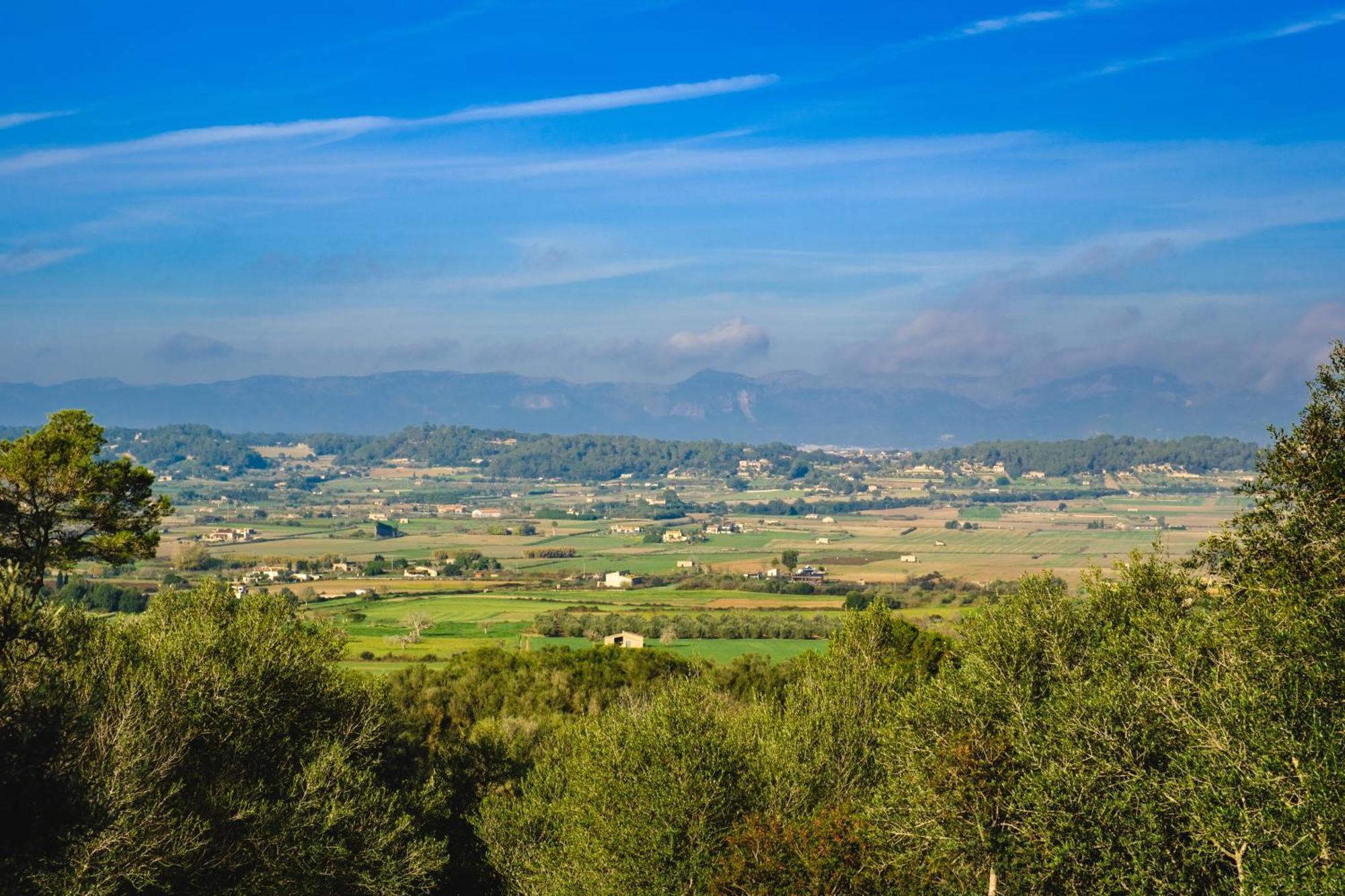 Finca Sa Bastida Luxury Retreat & Spa Adults Only Sant Joan Eksteriør bilde