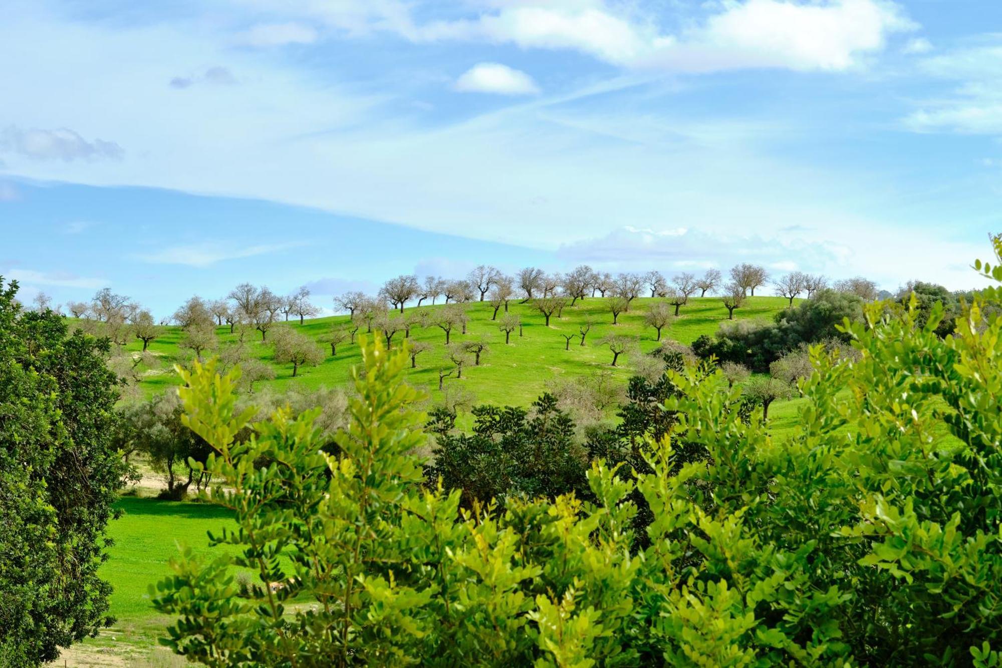 Finca Sa Bastida Luxury Retreat & Spa Adults Only Sant Joan Eksteriør bilde