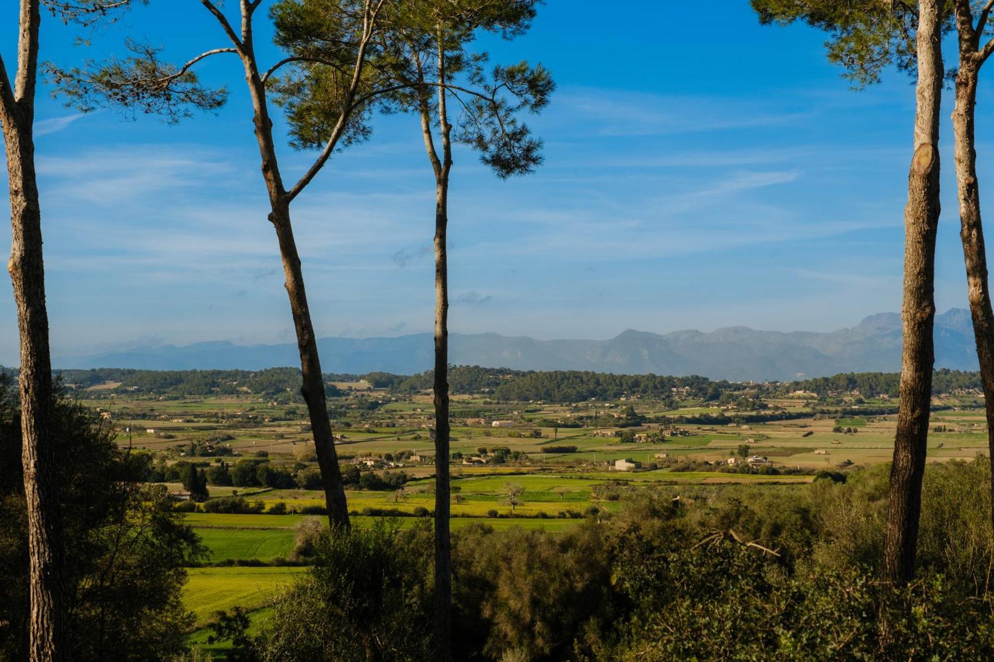Finca Sa Bastida Luxury Retreat & Spa Adults Only Sant Joan Eksteriør bilde